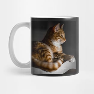 Weasley the ginger tabby Mug